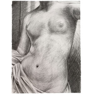 Female torso nude drawing